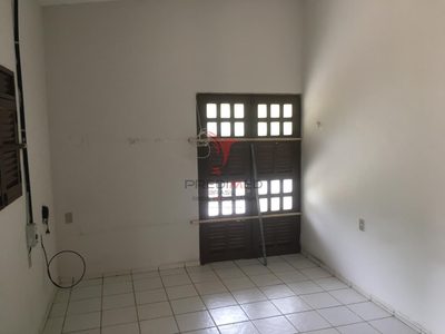 Chácara, 2 quartos, 1800 m² - Foto 4