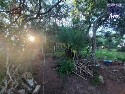 Sítio, 2 quartos, 400 m² - Foto 3