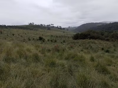 Fazenda, 130 hectares - Foto 2