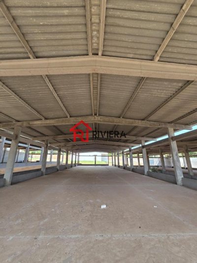 Depósito-Galpão, 1500 m² - Foto 1