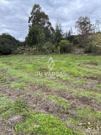 Sítio, 2 quartos, 2 hectares - Foto 4