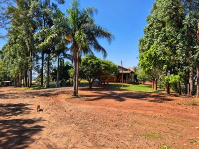 Sítio, 3 quartos, 8000 m² - Foto 3