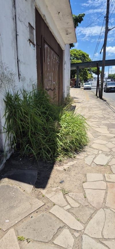 Terreno, 373 m² - Foto 3