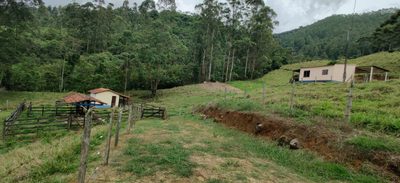 Sítio, 1 quarto, 10000 m² - Foto 3