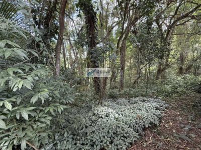 Terreno - Foto 4