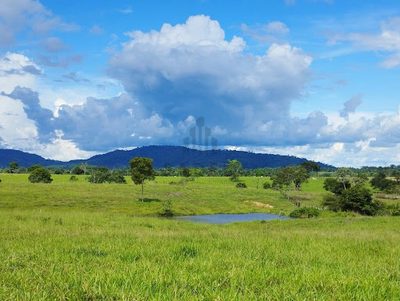 Fazenda - Foto 4