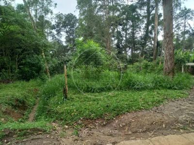 Terreno, 5000 m² - Foto 3