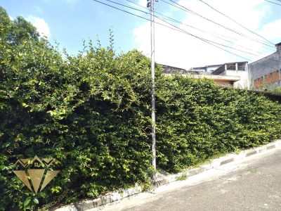 Terreno, 250 m² - Foto 4