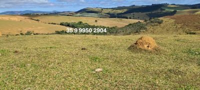 Chácara, 1 quarto, 229 hectares - Foto 1