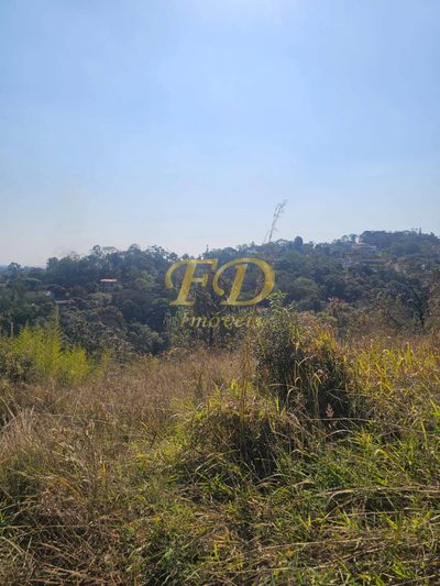 Terreno - Foto 4