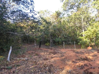 Terreno, 110000 m² - Foto 1
