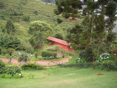 Sítio, 6 quartos, 44 hectares - Foto 4