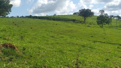 Terreno, 163 m² - Foto 4