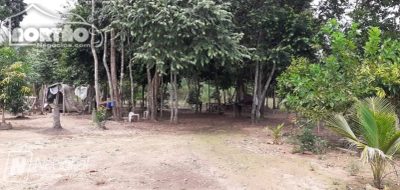 Casa, 3 quartos, 5700 m² - Foto 3