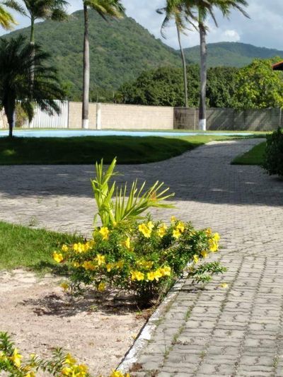 Loteamento e Condomínio, 275 m² - Foto 5