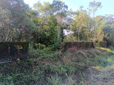 Terreno, 5000 m² - Foto 5
