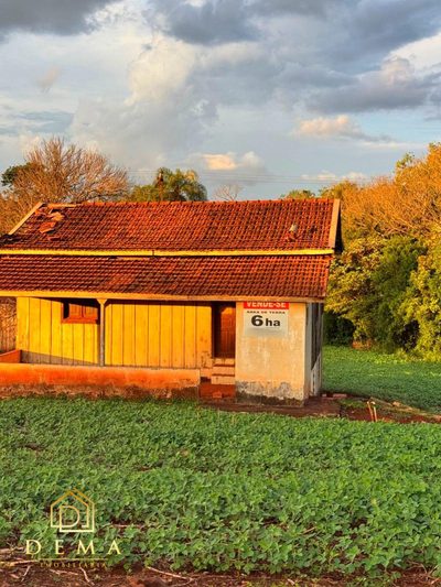 Fazenda - Foto 1
