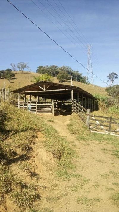 Sítio, 3 quartos, 100 m² - Foto 3