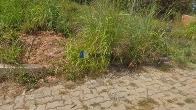 Terreno, 300 m² - Foto 3