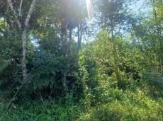 Terreno, 280 m² - Foto 3