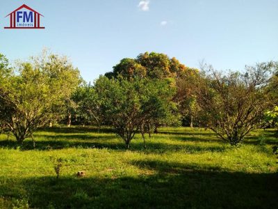 Sítio, 6 quartos - Foto 2
