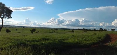 Fazenda, 600 m² - Foto 3
