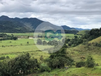 Chácara, 4 quartos - Foto 1