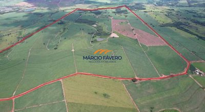 Fazenda, 311 hectares - Foto 4