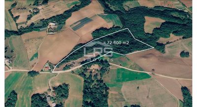 Chácara, 2 quartos, 7 hectares - Foto 4