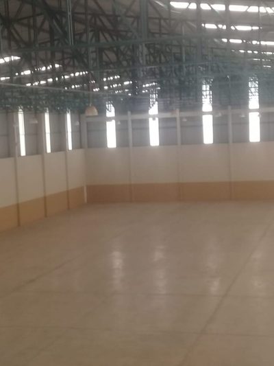 Depósito-Galpão, 3600 m² - Foto 5