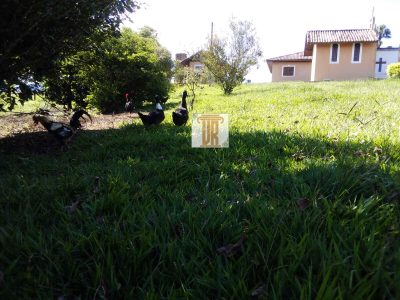 Sítio, 1 quarto, 7 hectares - Foto 1