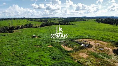 Fazenda, 218 hectares - Foto 4