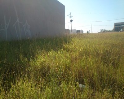 Terreno - Foto 1