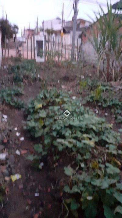 Terreno, 140 m² - Foto 5