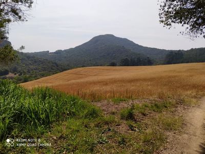 Chácara, 23 m² - Foto 3