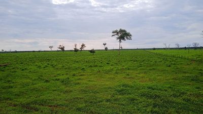 Fazenda, 5082 hectares - Foto 1