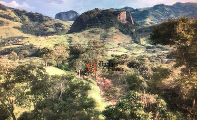 Chácara, 2 quartos, 6000 m² - Foto 4