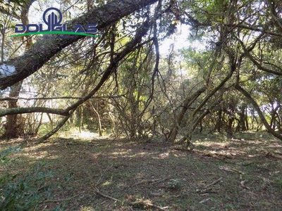 Terreno, 2 hectares - Foto 1