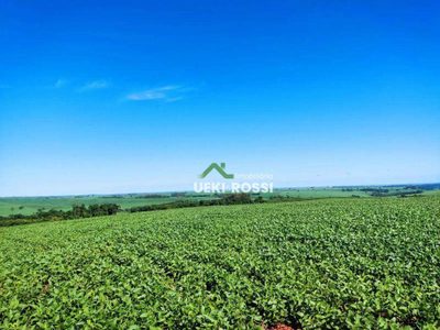 Terreno, 27 hectares - Foto 1