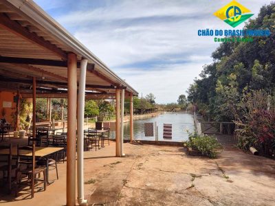 Chácara, 4 quartos - Foto 5