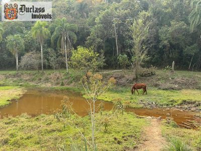 Fazenda, 24 hectares - Foto 4