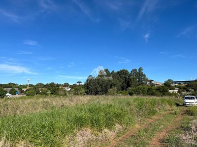 Chácara, 20 hectares - Foto 3