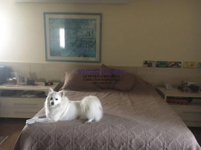 Apartamento, 3 quartos, 165 m² - Foto 1