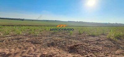 Fazenda, 501 hectares - Foto 4