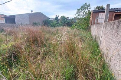 Terreno - Foto 4
