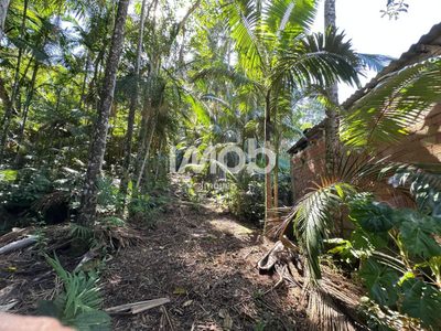 Chácara, 2 hectares - Foto 4