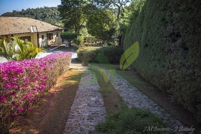 Sítio, 5 quartos, 5000 m² - Foto 3