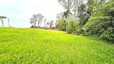 Terreno, 300 m² - Foto 2
