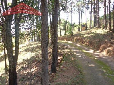Sítio, 3 quartos, 3800 m² - Foto 4