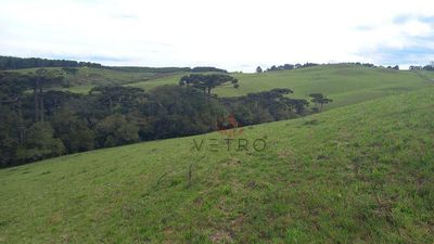 Sítio, 2 quartos, 18 hectares - Foto 4